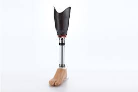protesis-inferiores-2